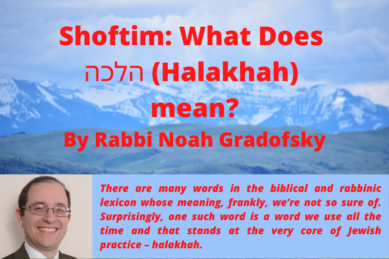 Shoftim What Does Halakhah Mean? UTJ Viewpoints