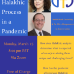 The Halakhic Process in a Pandemic
